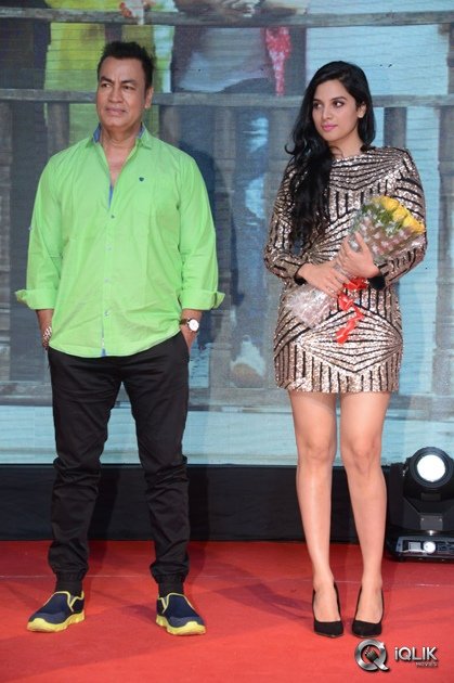 Nenu-Sailaja-Movie-Audio-Launch